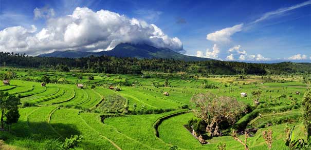 Отдых на Бали, остров Бали, цены Бали