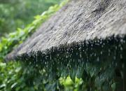 сезон дождей, климат Бали