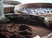 Копи Лювак - самый дорогой кофе в мире с острова Бали