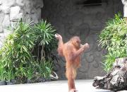 достопримечательности Бали, что посмотреть